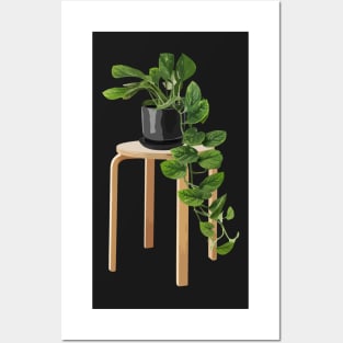 Philodendron hederaceum Posters and Art